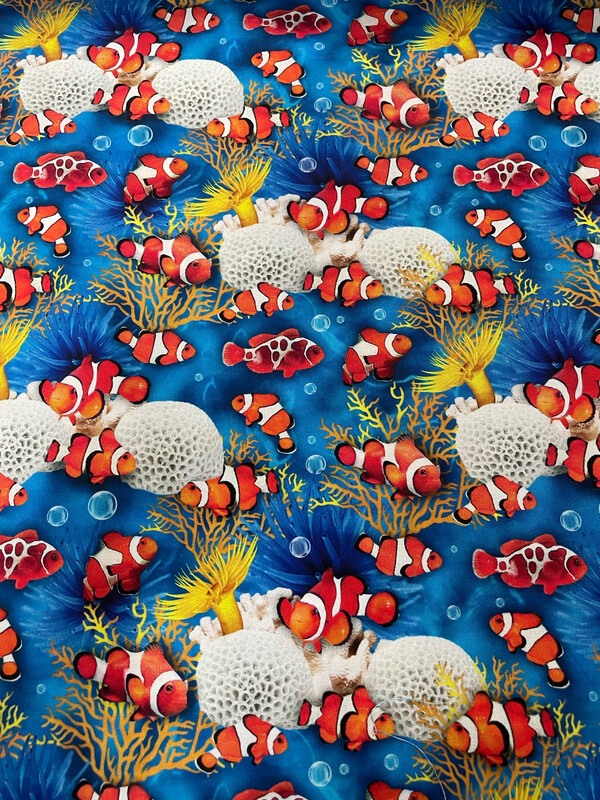 Ocean Story - Clown Fish