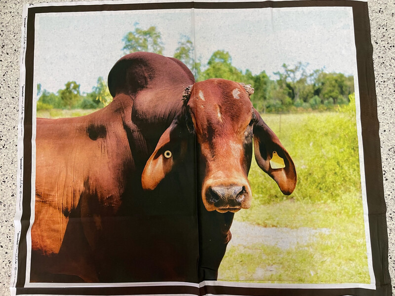 Brahman Red Bull Panel