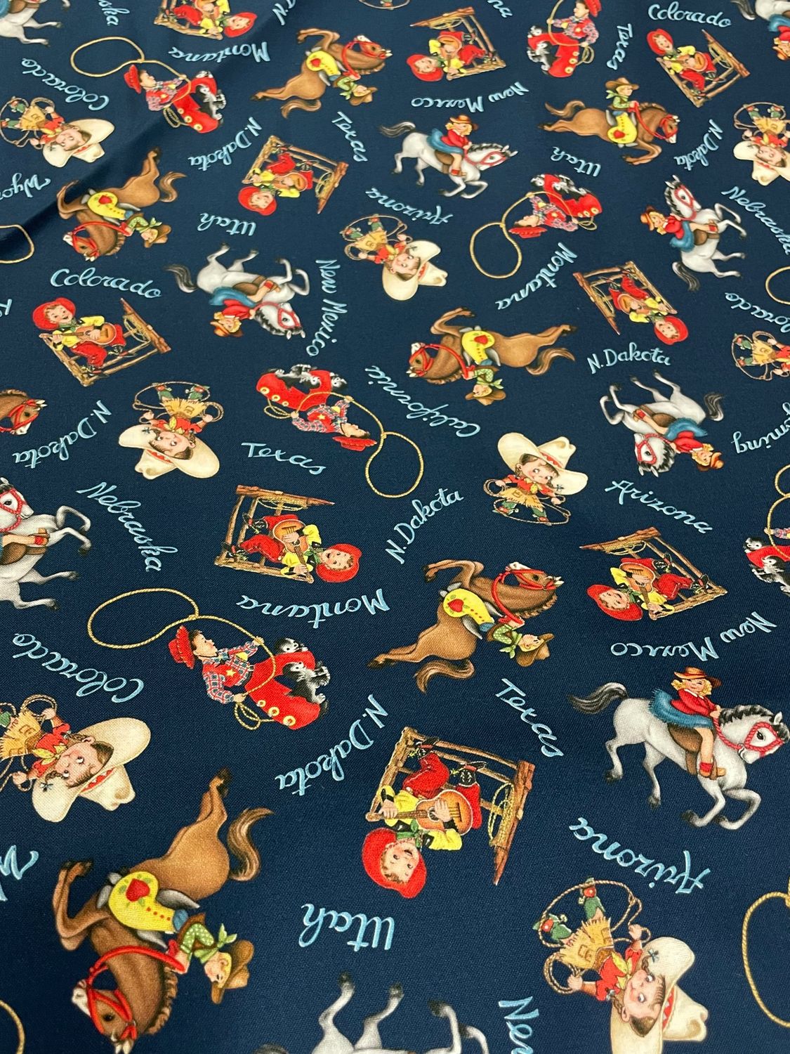 Happy Trails - Navy Background