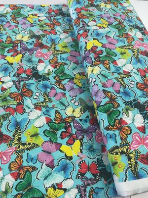 Spring Wings - Butterfly’s
