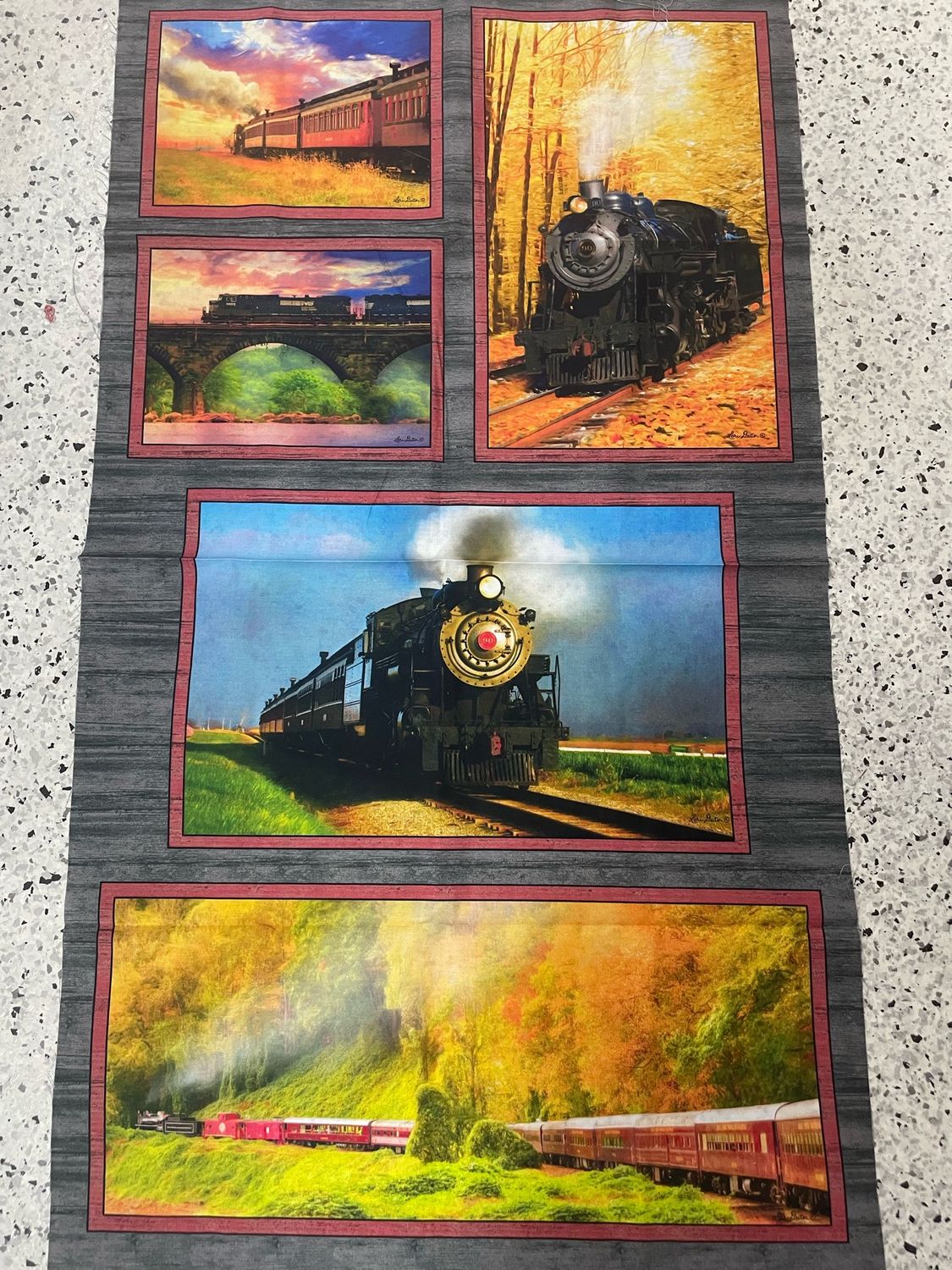 Steam Train Panel