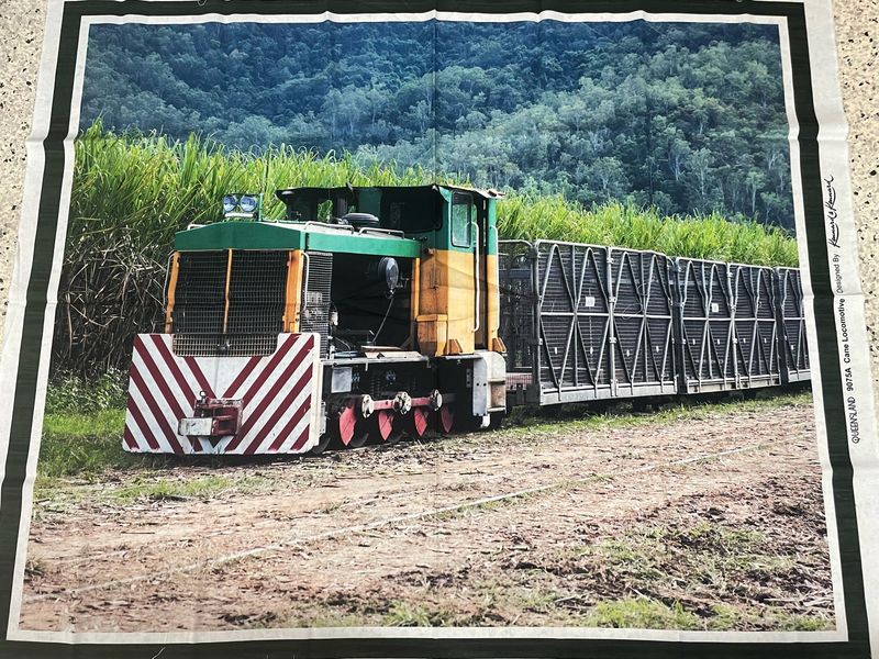 Cane Train Panel