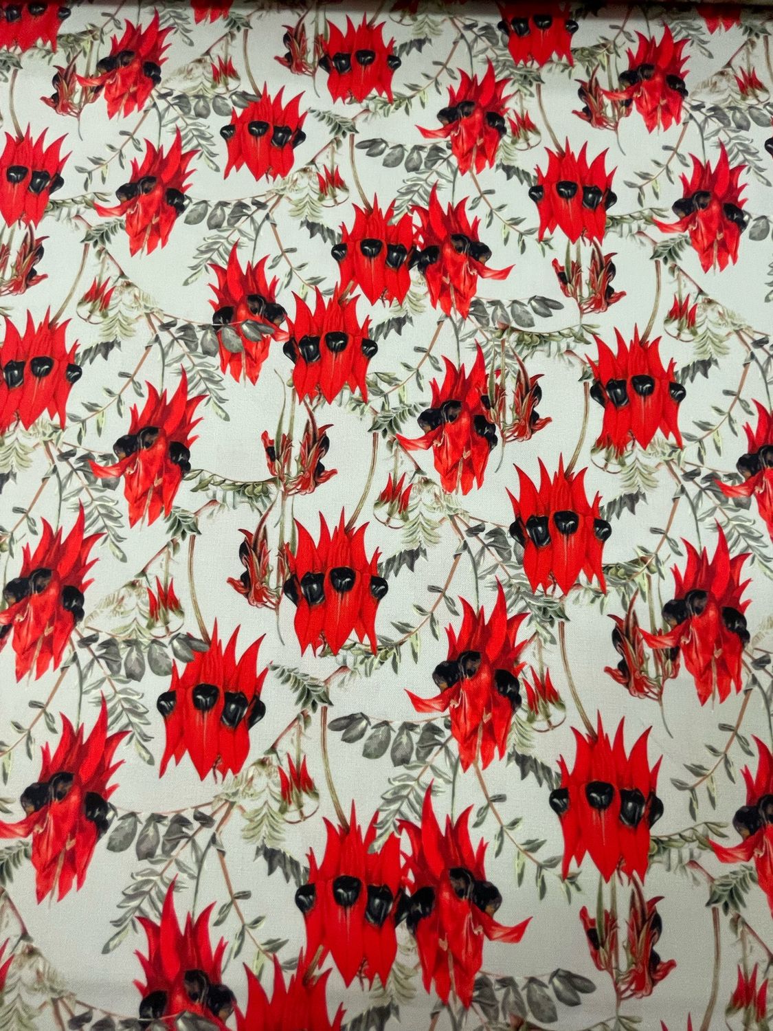 Wildflowers By KK Fabrics - Sturt’s Desert Pea
