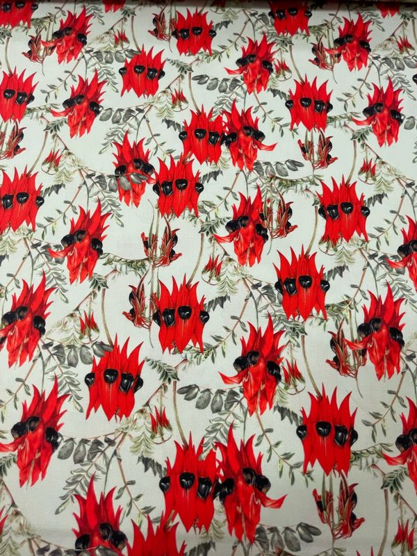 Wildflowers By KK Fabrics - Sturt’s Desert Pea