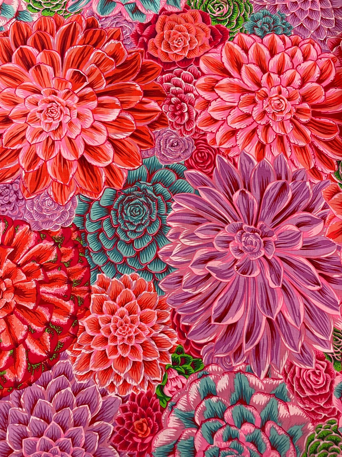 Kaffe Fassett - House Leeks Pink