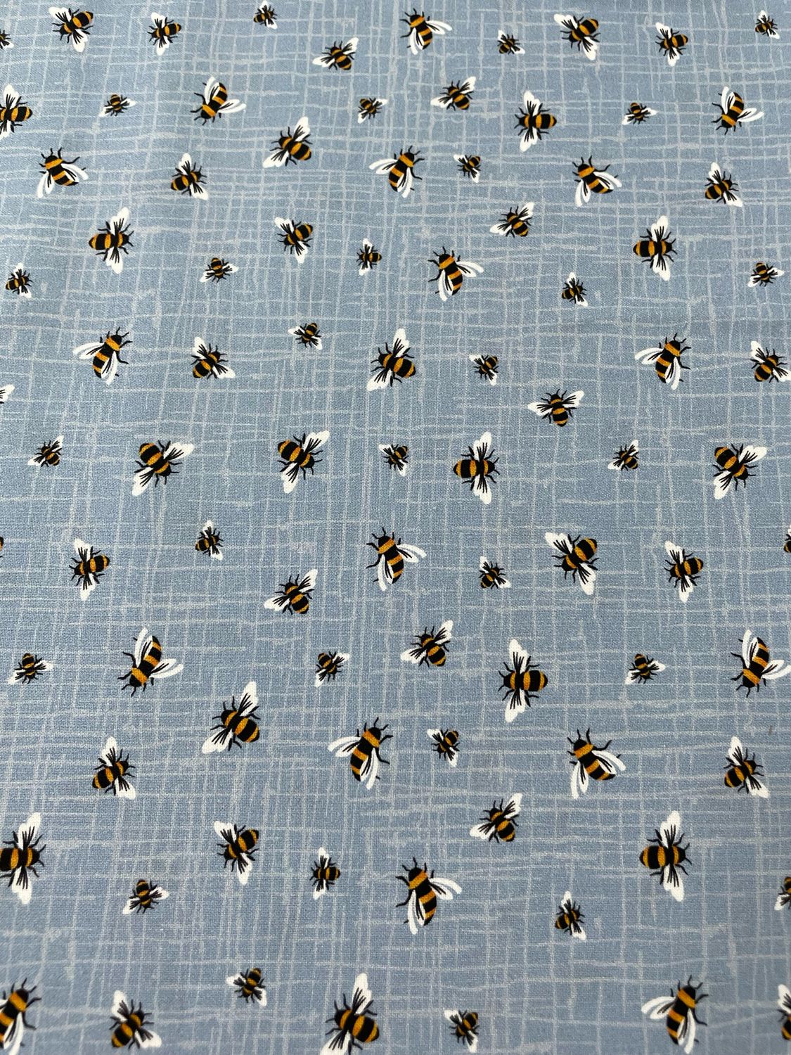 Queen Bee - Bees Blue Background