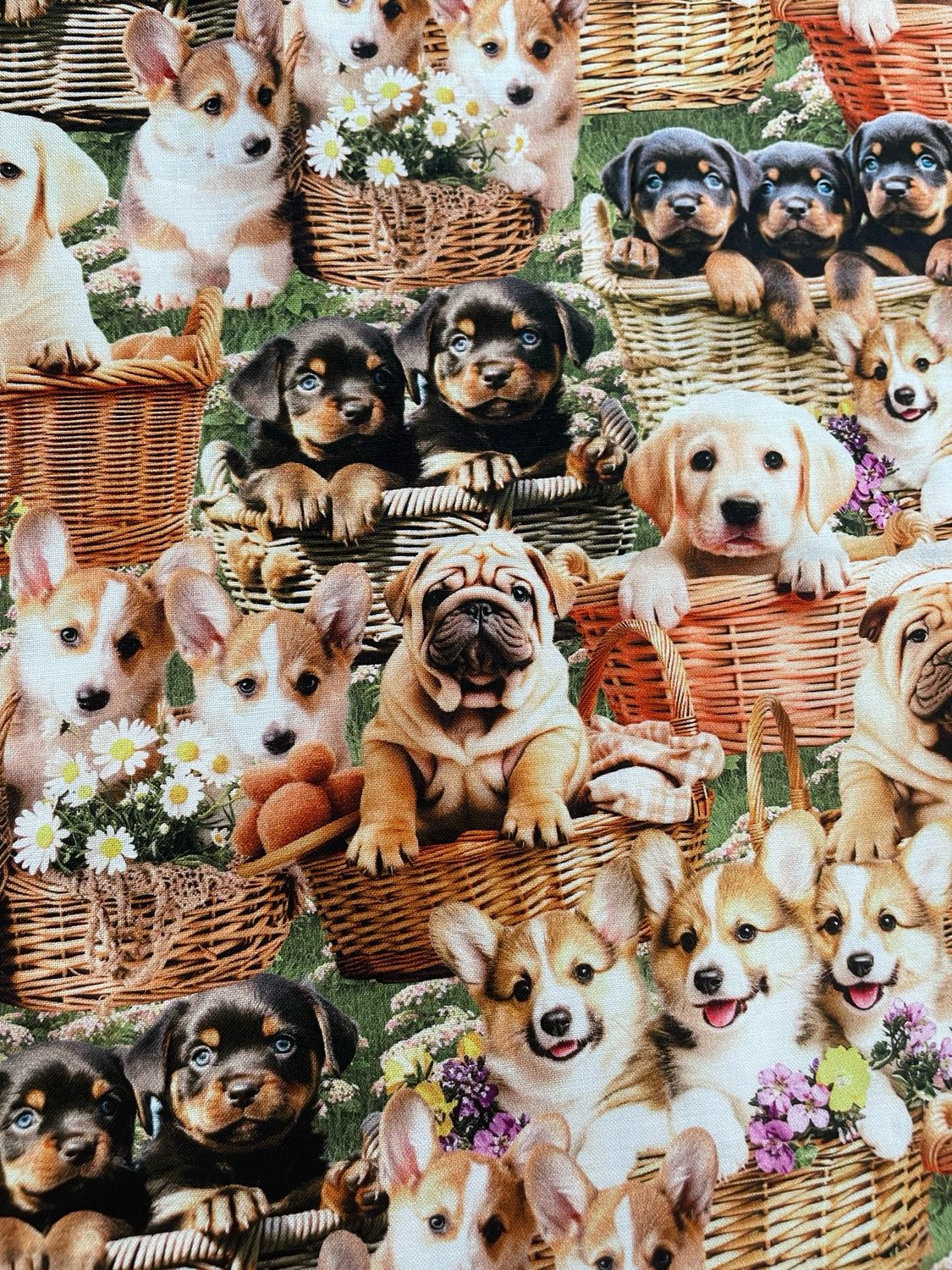 Furry Fun - Puppies In Baskets
