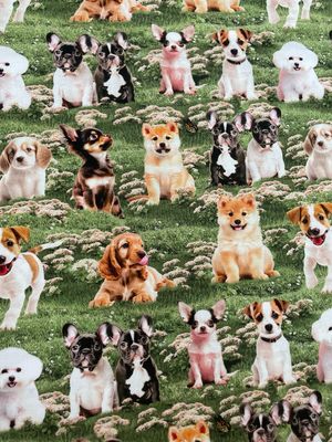 Furry Fun - Puppies On Grass