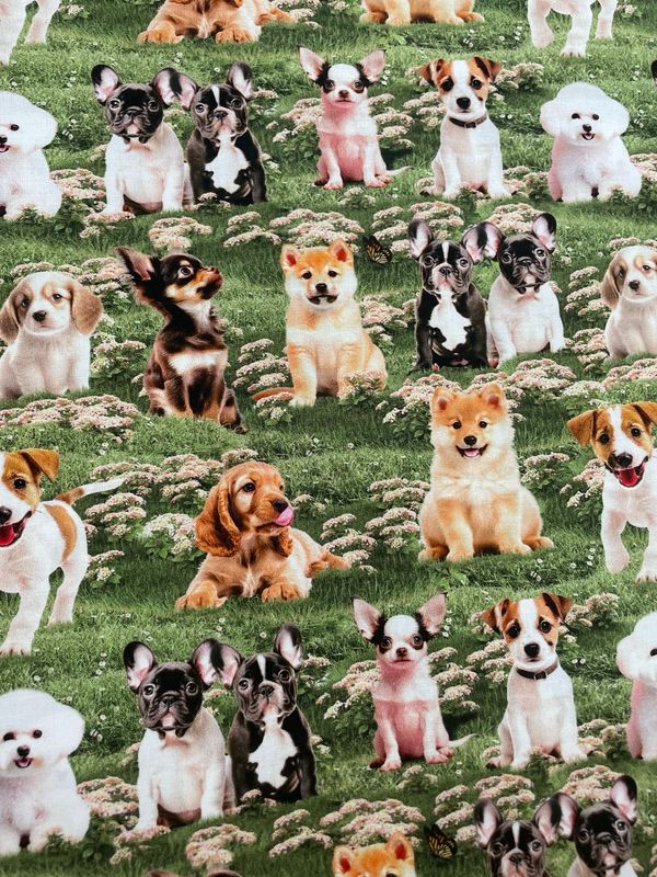 Furry Fun - Puppies On Grass