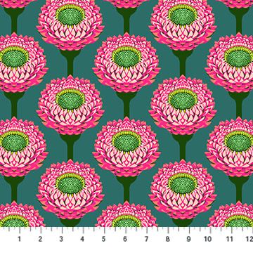 Anna Maria - Iconic - Strawflower Bursting