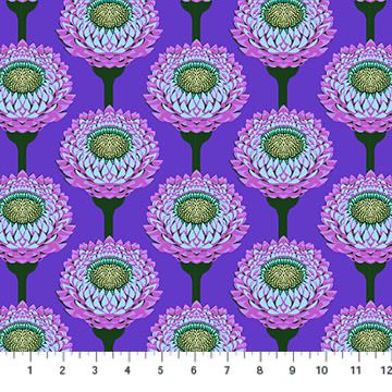 Anna Maria - Iconic - Strawflower Periwinkle