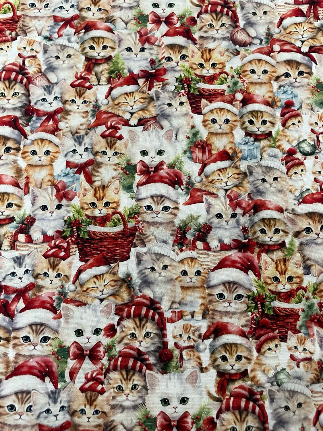 Santa Paws - Kittens
