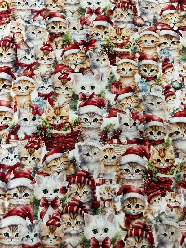 Santa Paws - Kittens