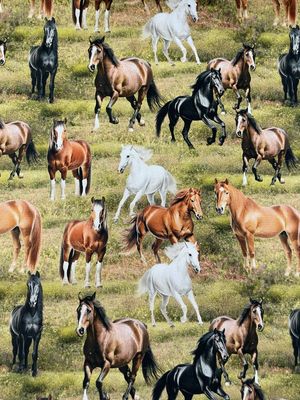 Running Free - Horses