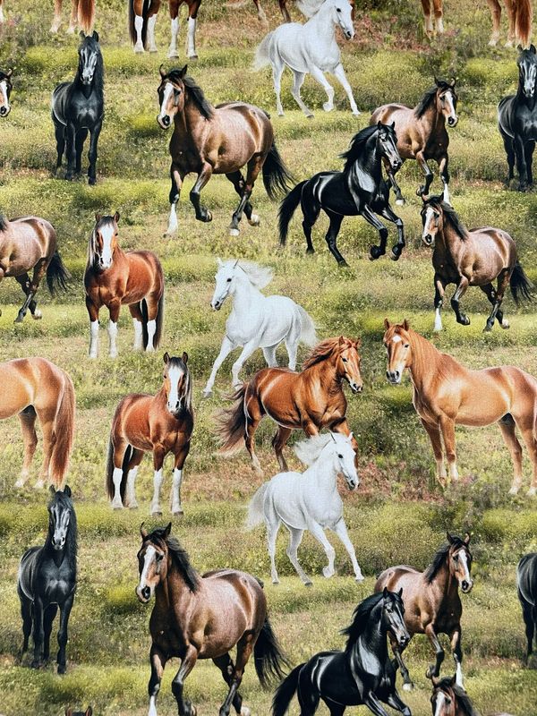 Running Free - Horses
