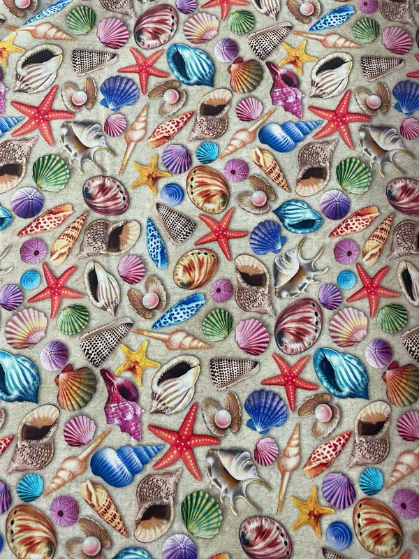 Sea World - Shells