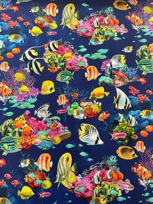 Sea World - Underwater