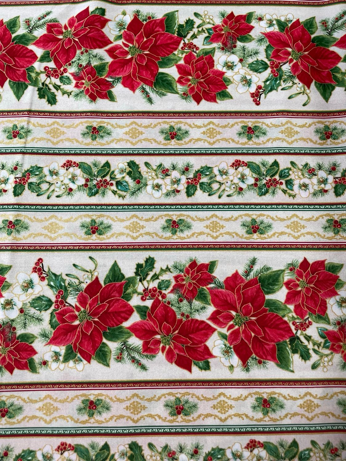 Tis The Season - Border Strip