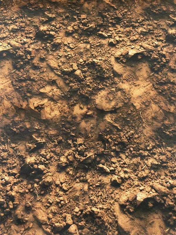Construction Zone - Dirt