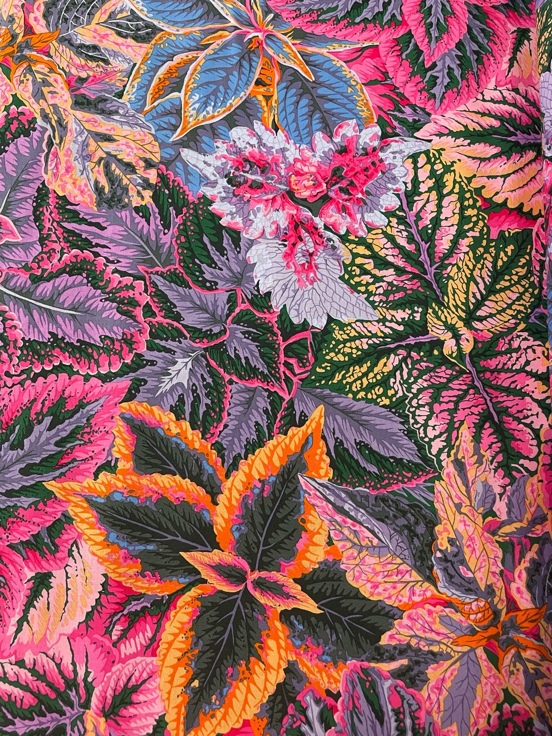 Kaffe Fassett - Bold Leaves In Pink