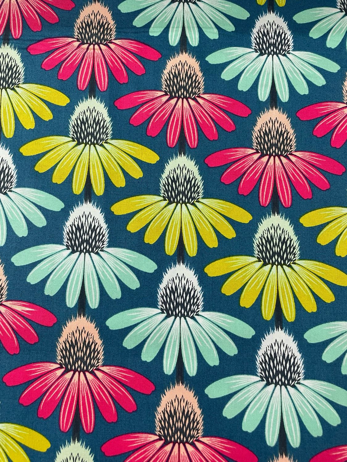 Anna Maria - Echinacea - Parade