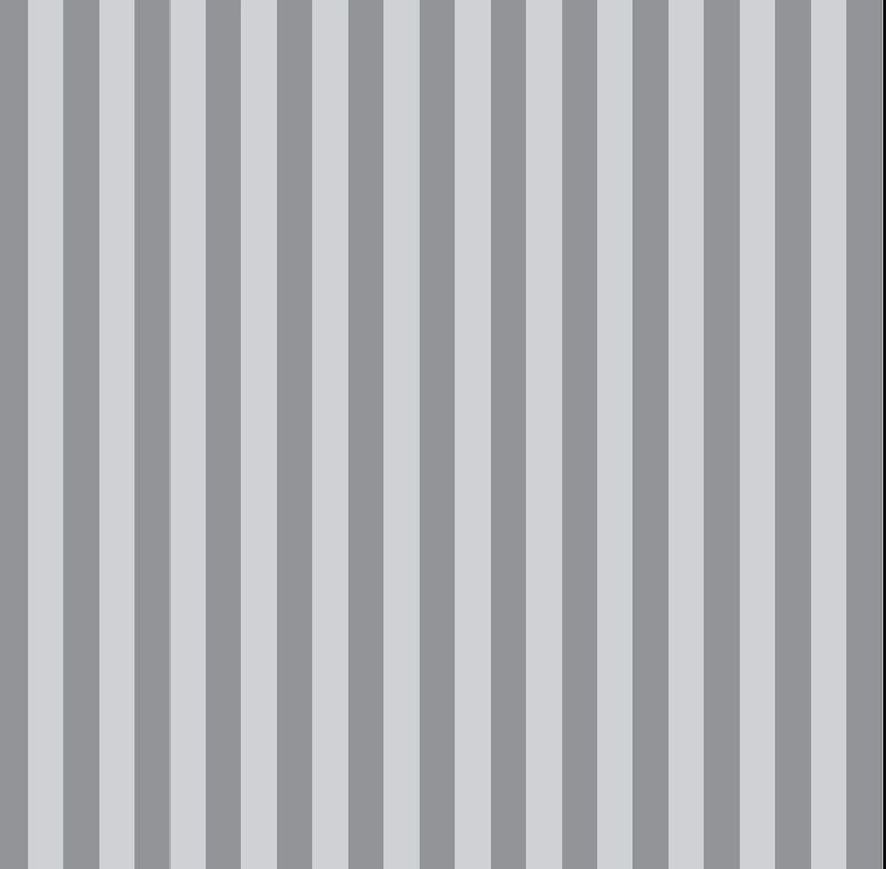 Tula Pink Graywork - Tent Stripe In Fog