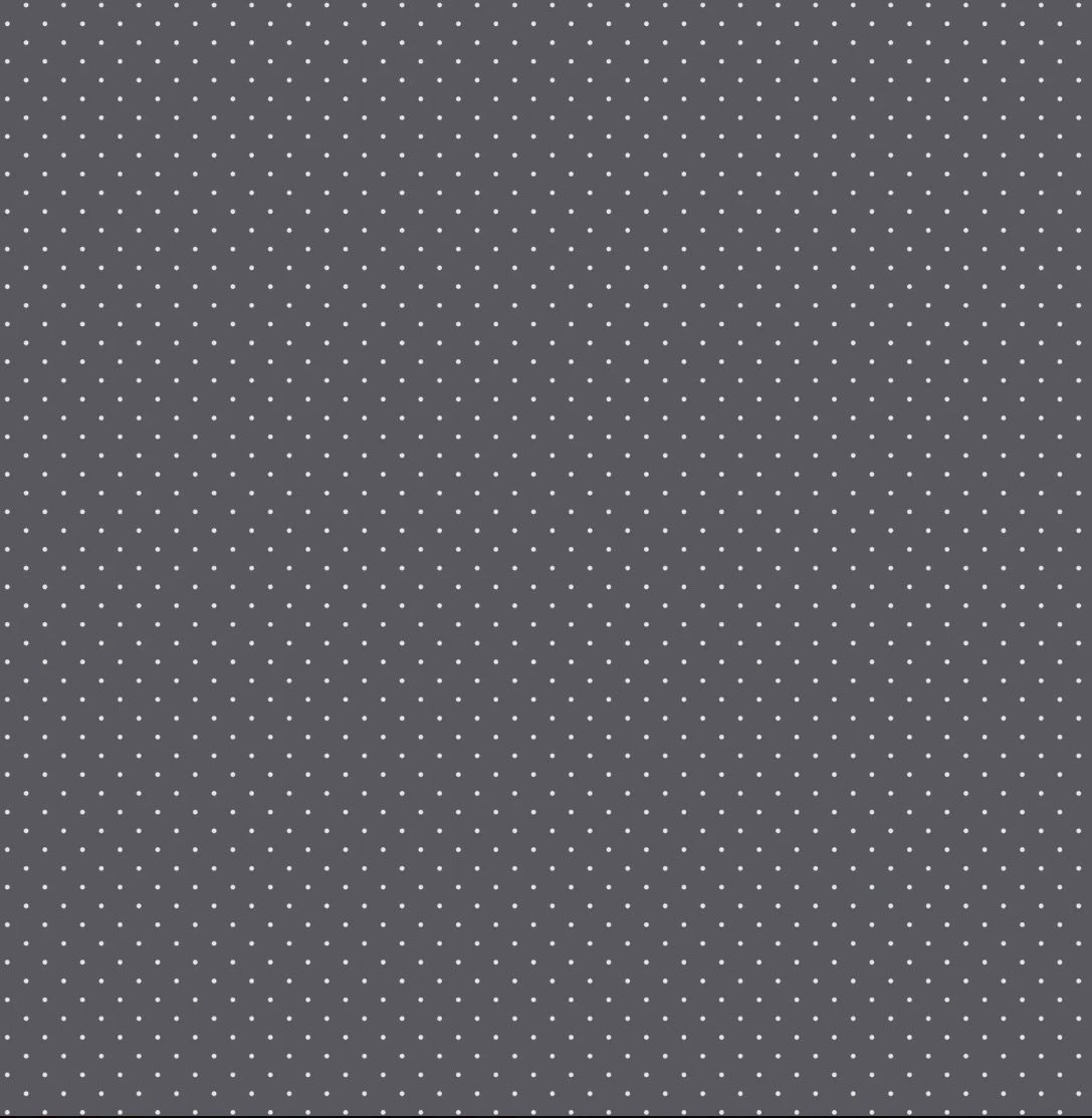 Tula Pink Graywork - Tiny Dots In Carbon