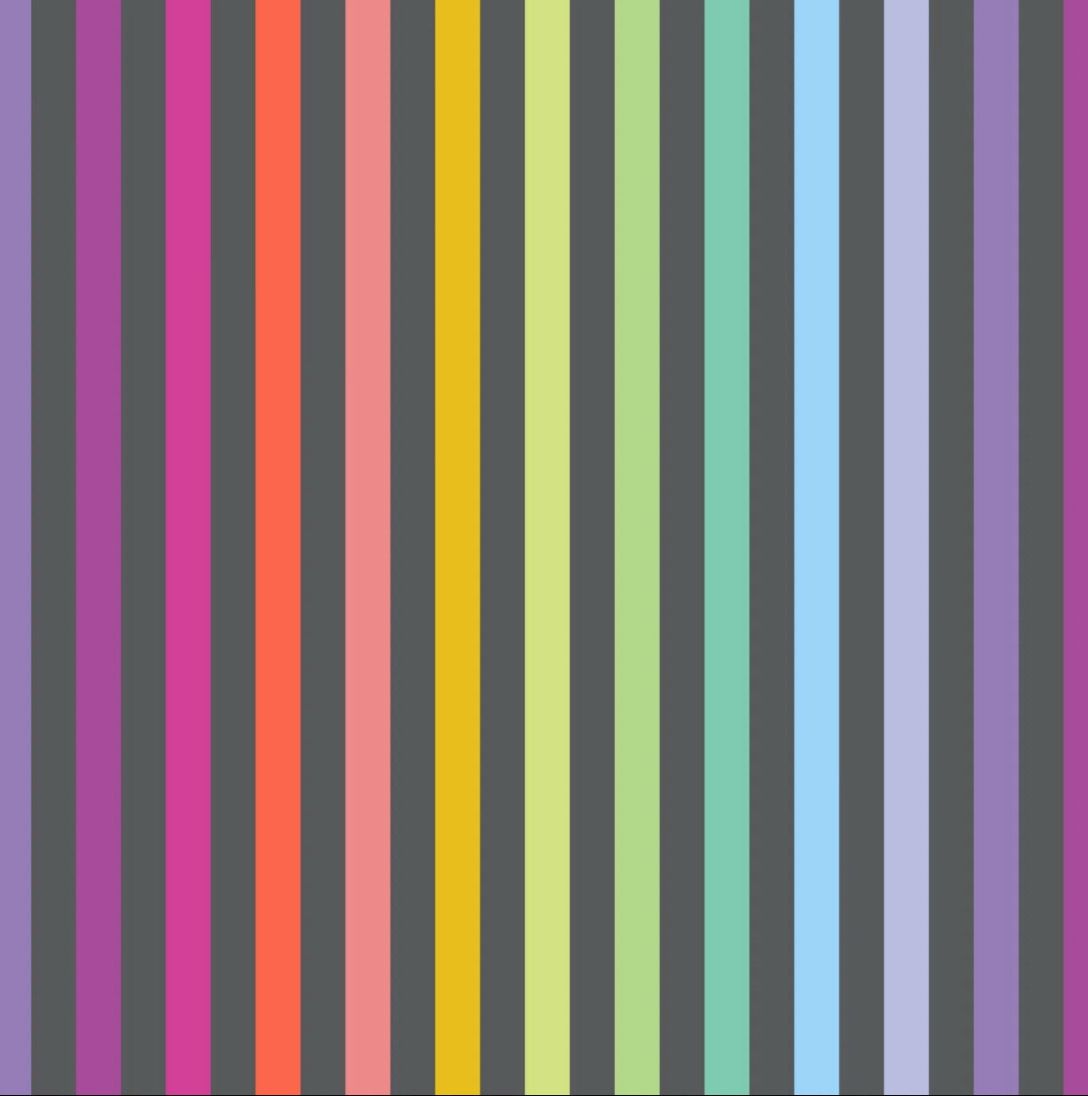 Tula Pink Graywork - Disco Stripe In Carbon