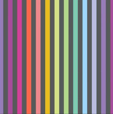 Tula Pink Graywork - Disco Stripe In Carbon