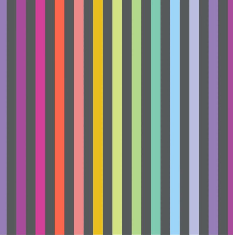 Tula Pink Graywork - Disco Stripe In Carbon