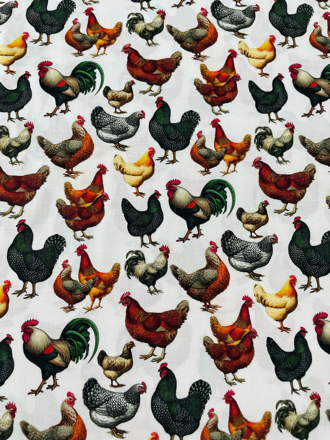 Farmyard - Chickens