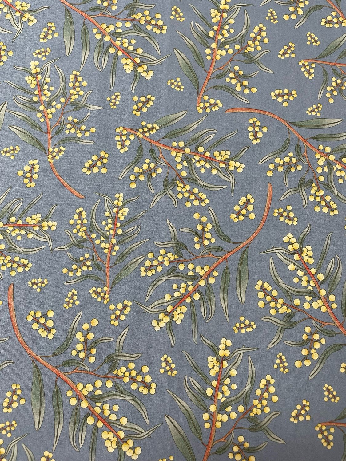 Jen Digital Art - Wattle