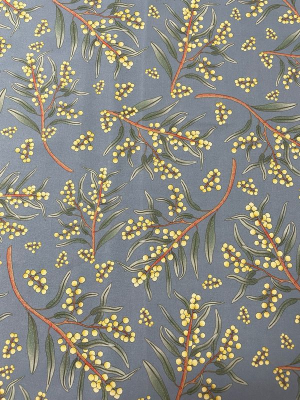 Jen Digital Art - Wattle