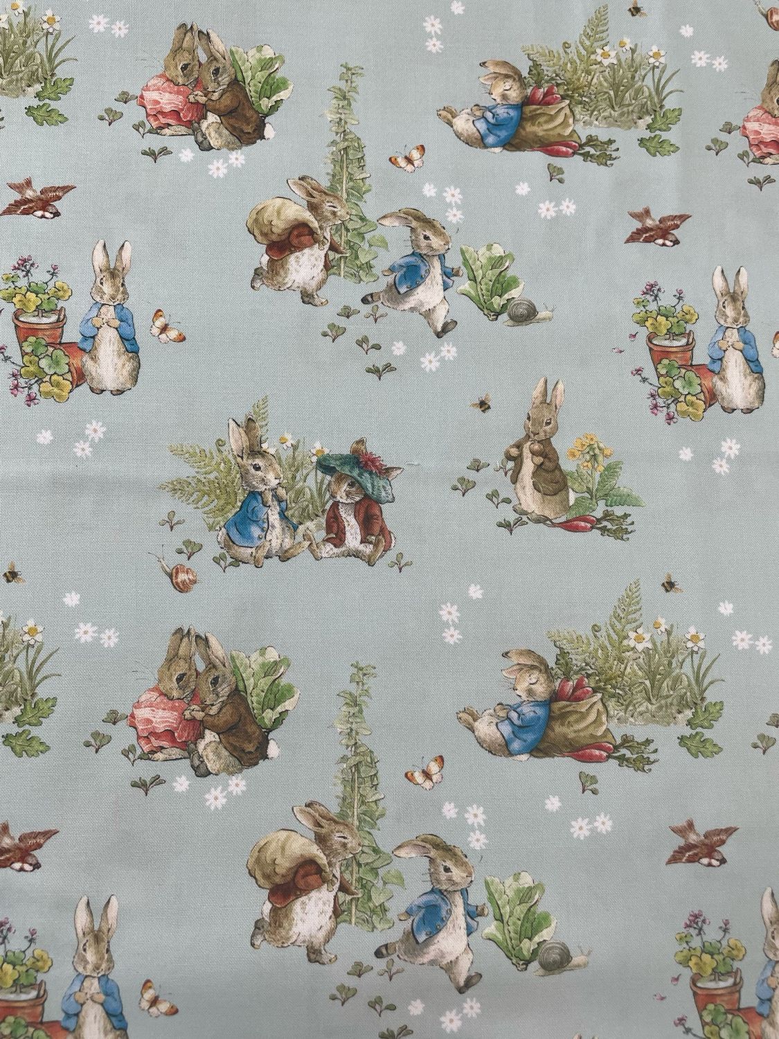 Peter Rabbit - Blue Scattered