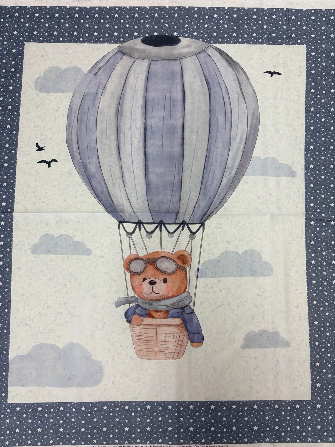 Skyward Dreams - Panel