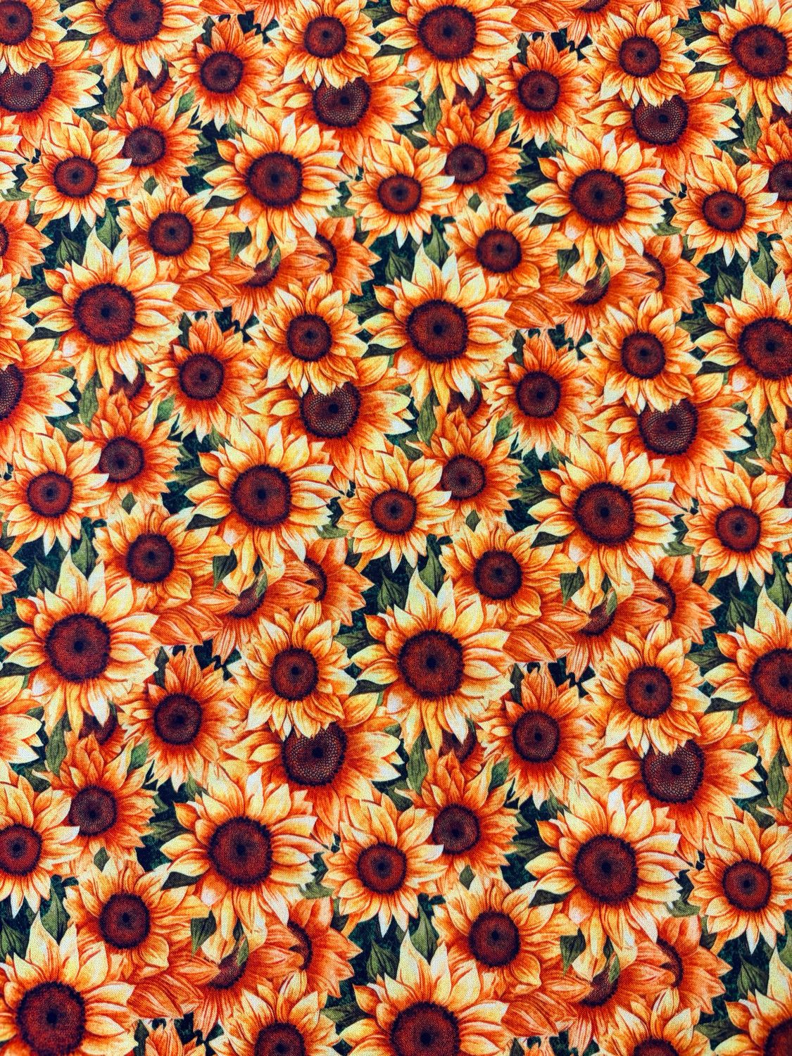 Sunflower Serenade - Sunflowers Allover