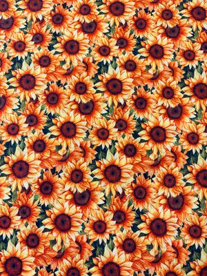 Sunflower Serenade - Sunflowers Allover