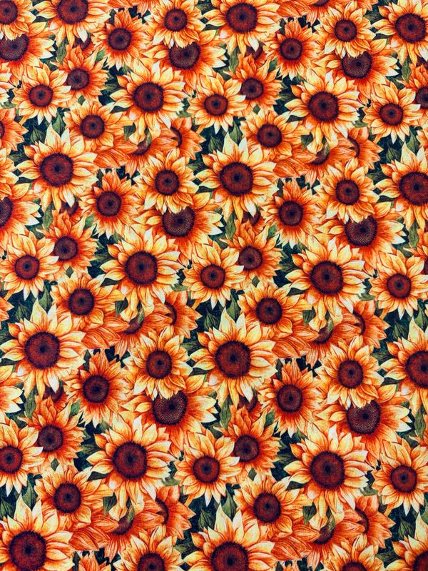 Sunflower Serenade - Sunflowers Allover