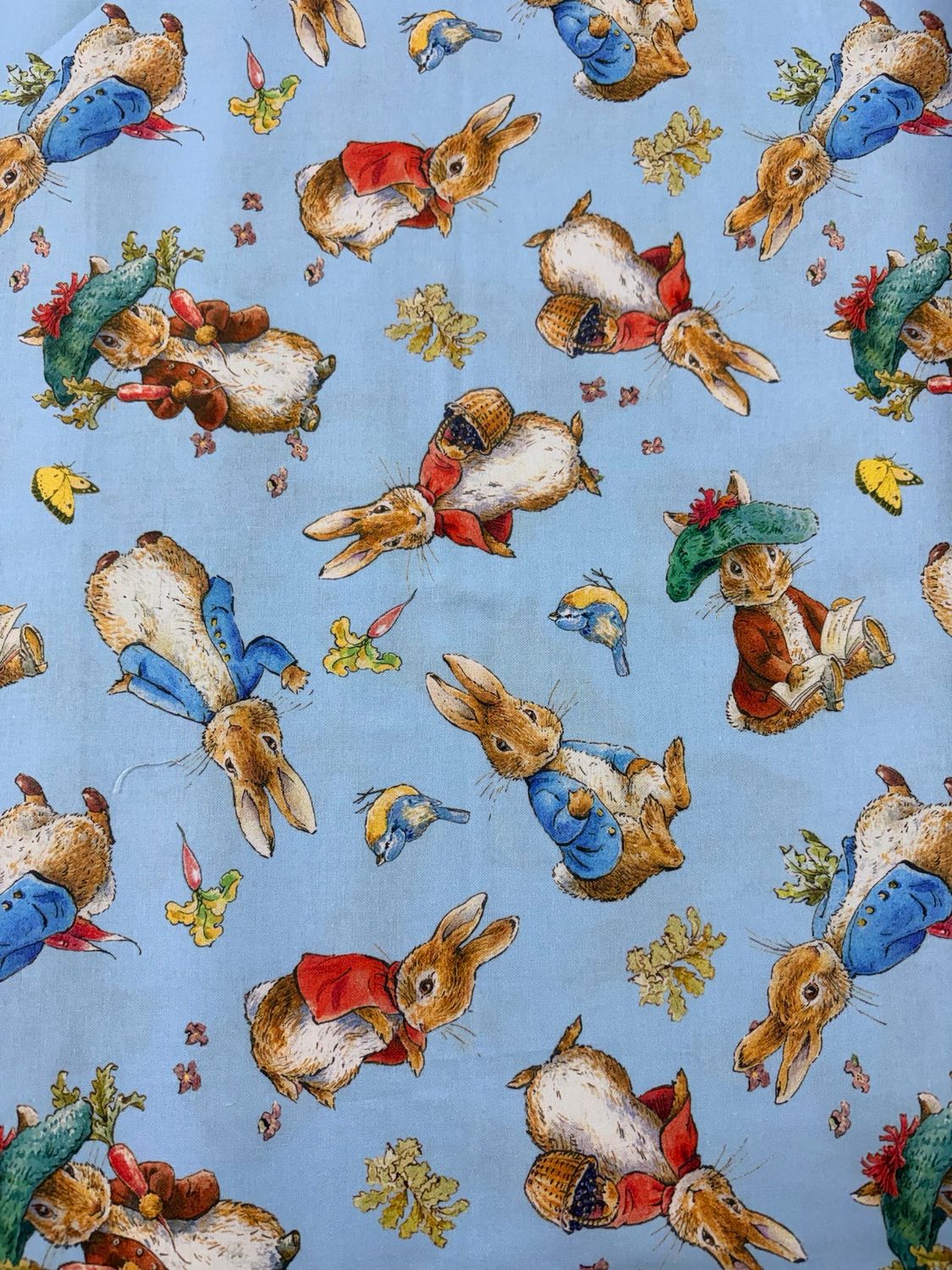 Peter Rabbit - Blue Toss
