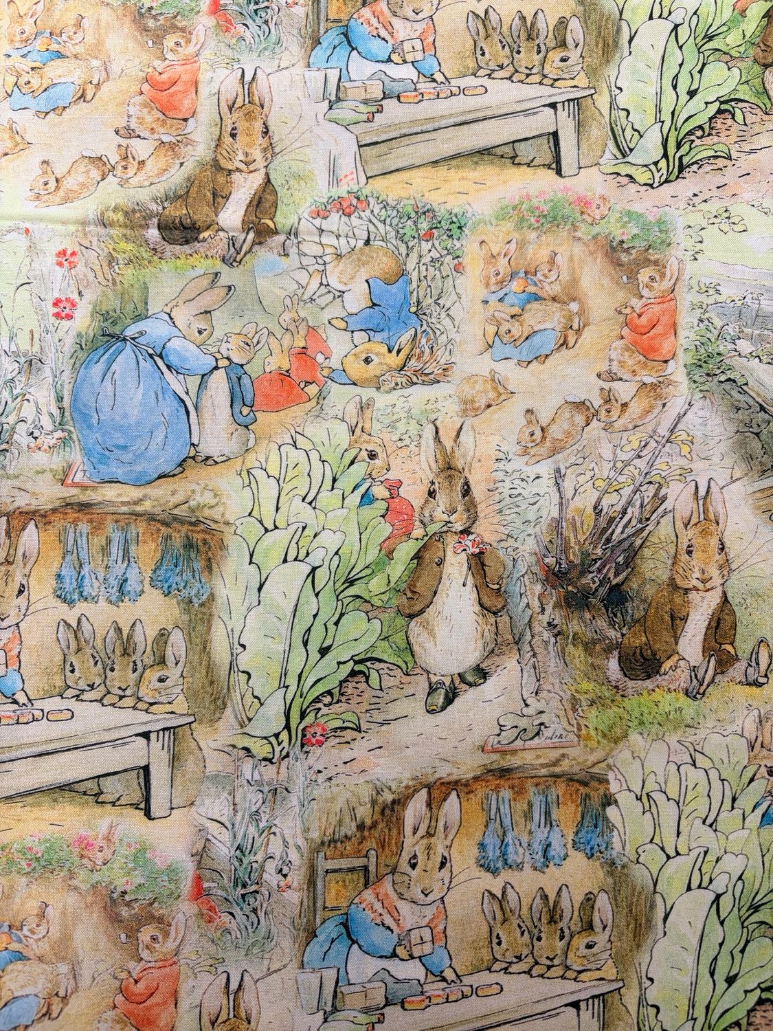 Peter Rabbit - Scenes From The Book