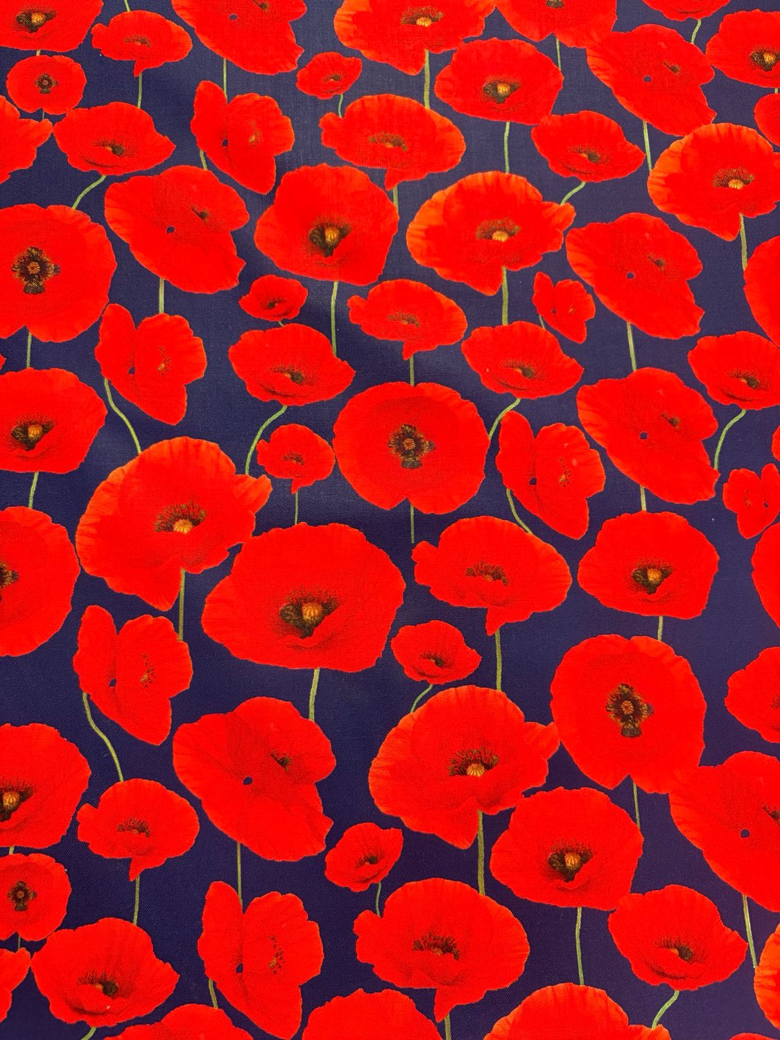 Australian Navy ll - Poppies