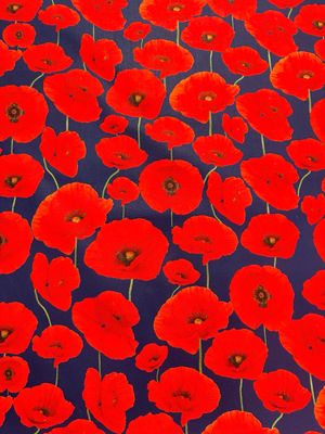 Australian Navy ll - Poppies