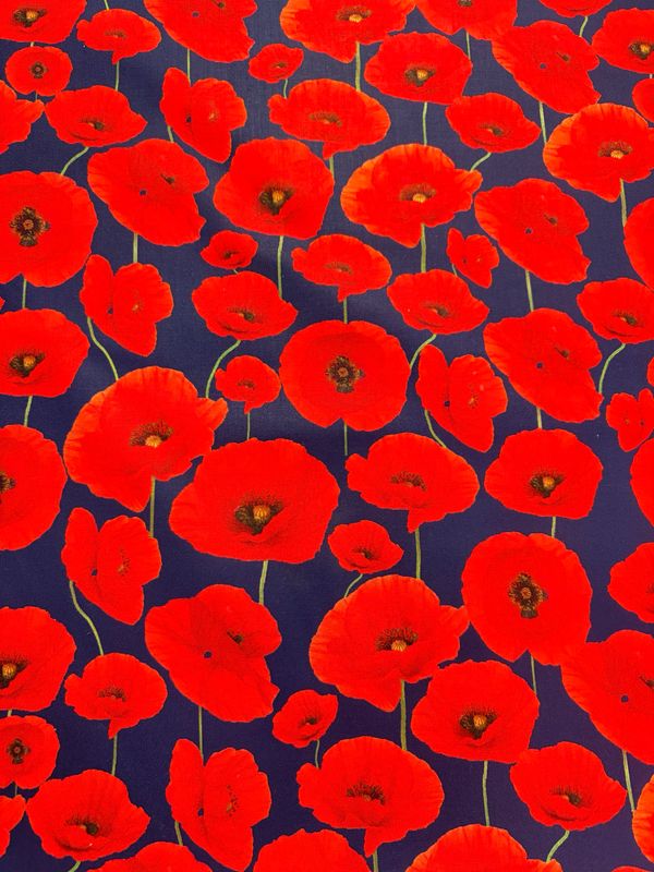 Australian Navy ll - Poppies