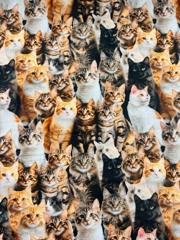 Purrfect Stitches - Cats