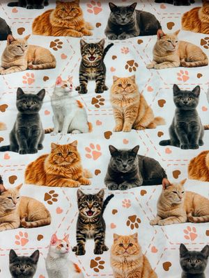 Purrfect Stitches - Cats White
