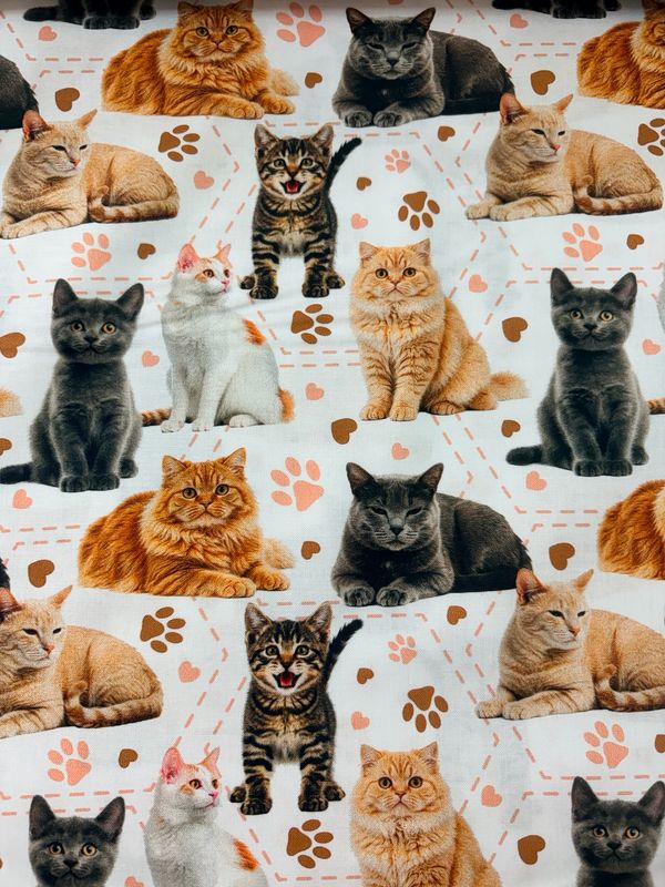 Purrfect Stitches - Cats White