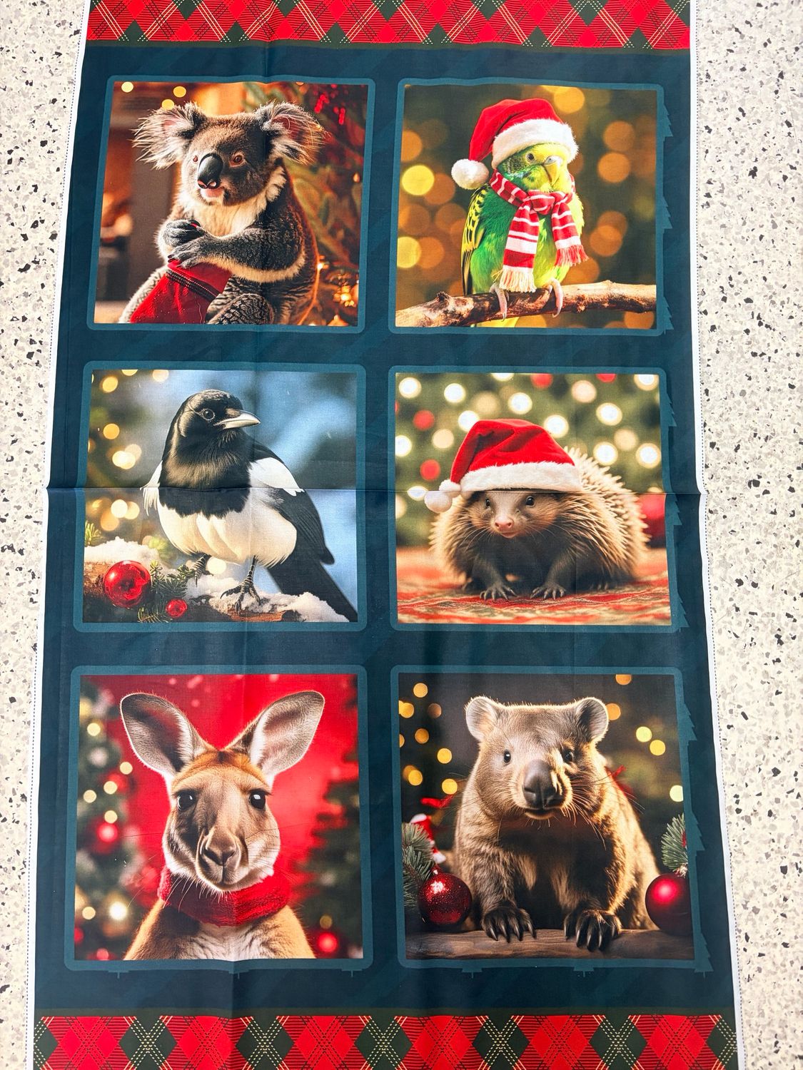 Gumtree Greetings - Panel