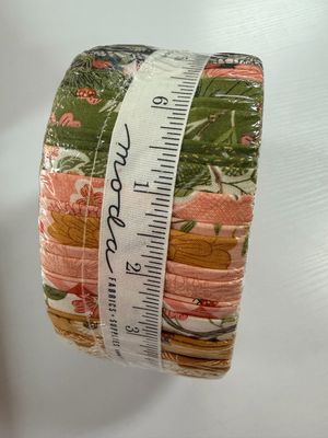 Moda - Ladybug Whimsy - Jelly Roll
