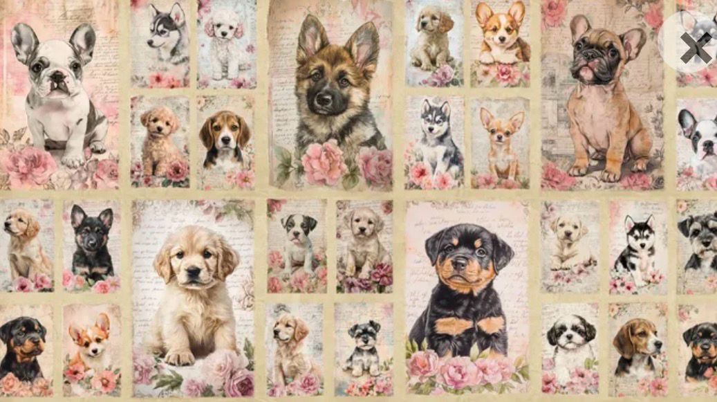 Coops Farm - Puppies Panel