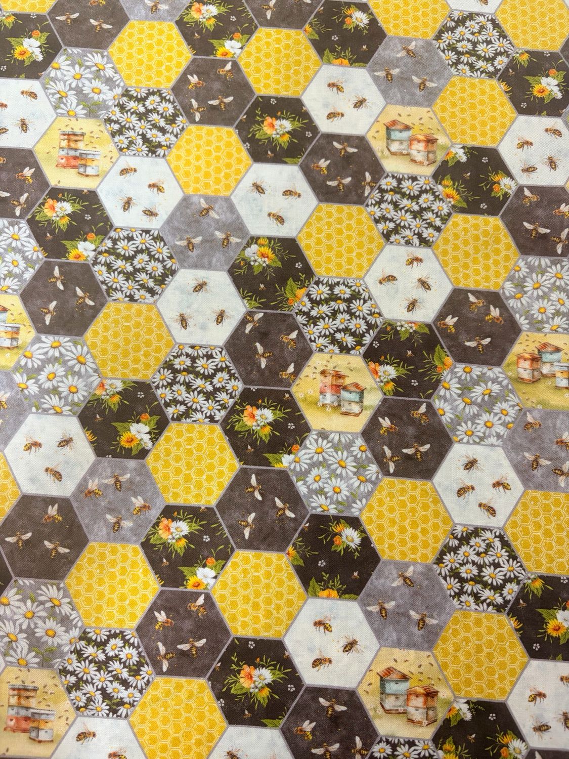 Honey Bee - Honeycomb